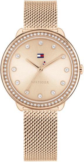 TOMMY HILFIGER DEMI 1782700